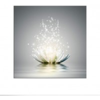Modern Lotus Flowers Picture Canvas Wall Art With Framed   